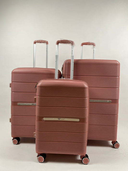 VALISE PP 01